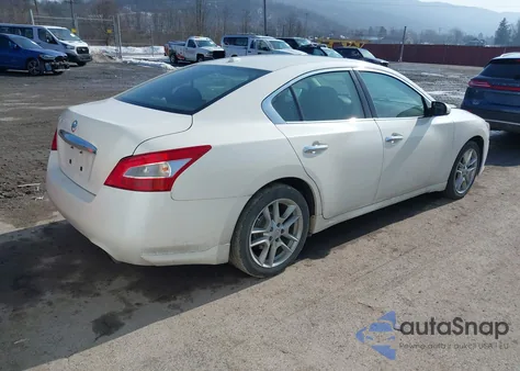 2010 Nissan Maxima 3.5 Sv из США, поврежденный, VIN 1N4AA5AP7AC841880